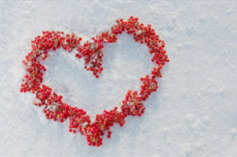 Valentino dienos širdis ant sniego atvirukas